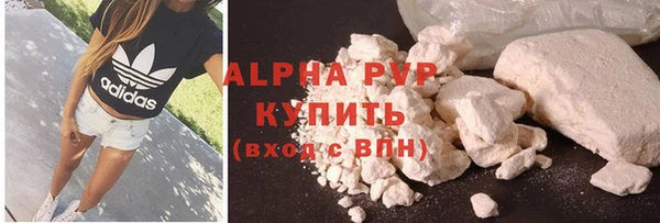 ПСИЛОЦИБИНОВЫЕ ГРИБЫ Михайлов