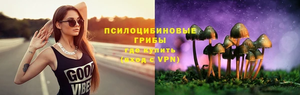 мдпв Михайловск