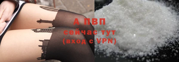 ПСИЛОЦИБИНОВЫЕ ГРИБЫ Михайлов