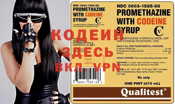 ПСИЛОЦИБИНОВЫЕ ГРИБЫ Михайлов