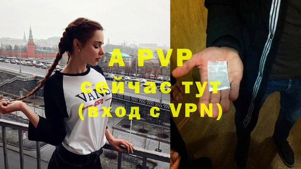 ПСИЛОЦИБИНОВЫЕ ГРИБЫ Михайлов