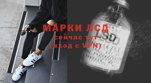 ПСИЛОЦИБИНОВЫЕ ГРИБЫ Михайлов
