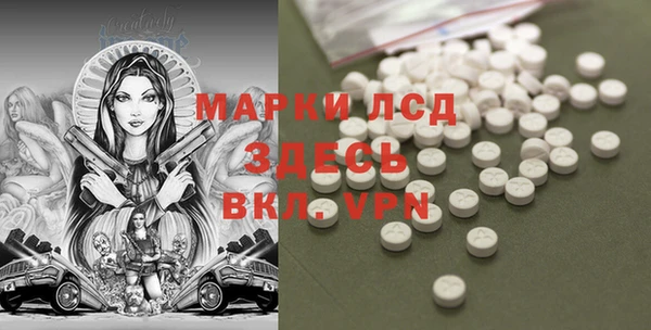 ПСИЛОЦИБИНОВЫЕ ГРИБЫ Михайлов