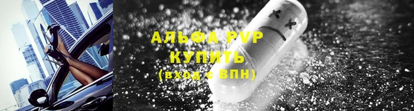 ПСИЛОЦИБИНОВЫЕ ГРИБЫ Михайлов