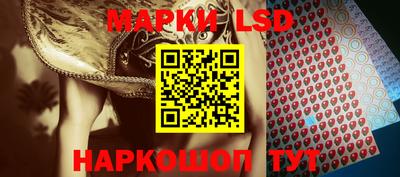 мяу мяу мука Аргун