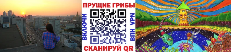 Псилоцибиновые грибы Psilocybine cubensis  Белгород 