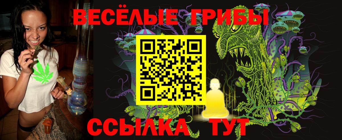 Псилоцибиновые грибы Psilocybine cubensis Белгород