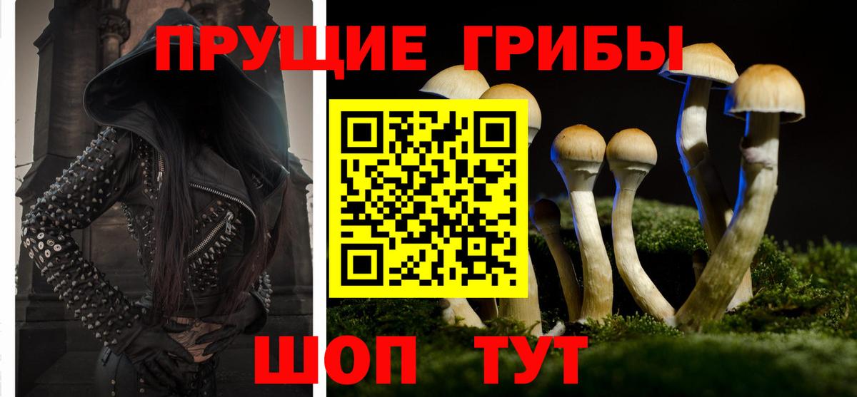 Псилоцибиновые грибы Magic Shrooms  Псилоцибиновые грибы GOLDEN TEACHER  Вход с VPN  Белгород 